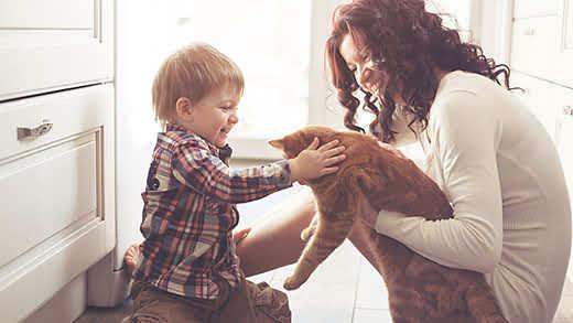 A mom introduces an orange cat to a little boy