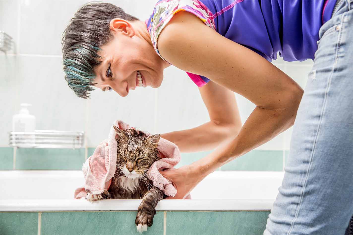Cat climbing over the side of a bath tub while a woman dries it off with a bath towel Cat climbing over the side of a bath tub while a woman dries it off with a bath towel
