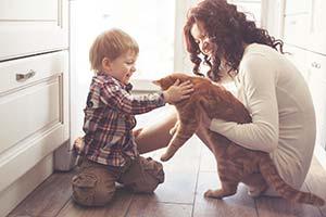 Mother and son playing with large orange tabby cat on the kitchen floor at home.