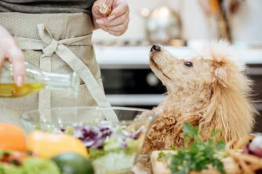 Pouring olive oil on freshly made salad.