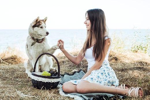 siberian-huksy-and-young-woman-on-picnic-SW Young woman holding Red Siberian husky