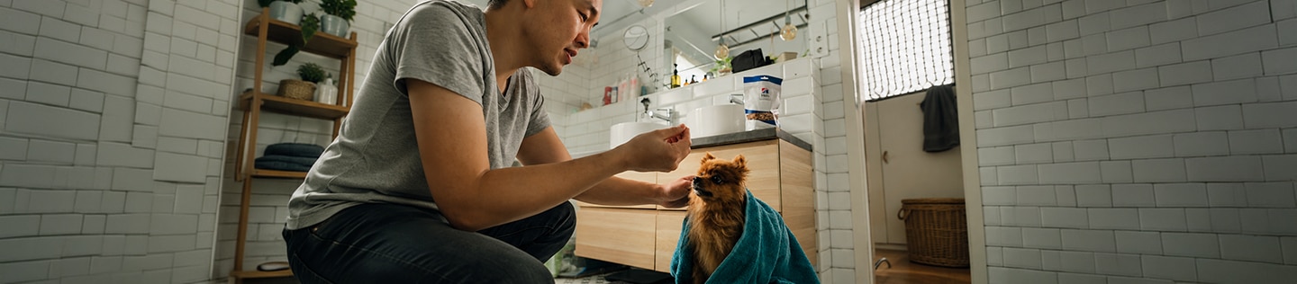 Man crouching in front of a toy breed dog wrapped in a blue towel