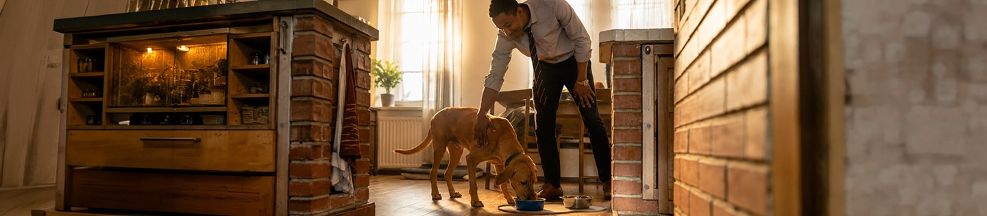 Man bending down to pat a large, tan dog as it eats from a bowl