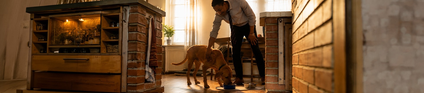 Man leaning down to stroke a large tan dog while it eats from a food bowl 