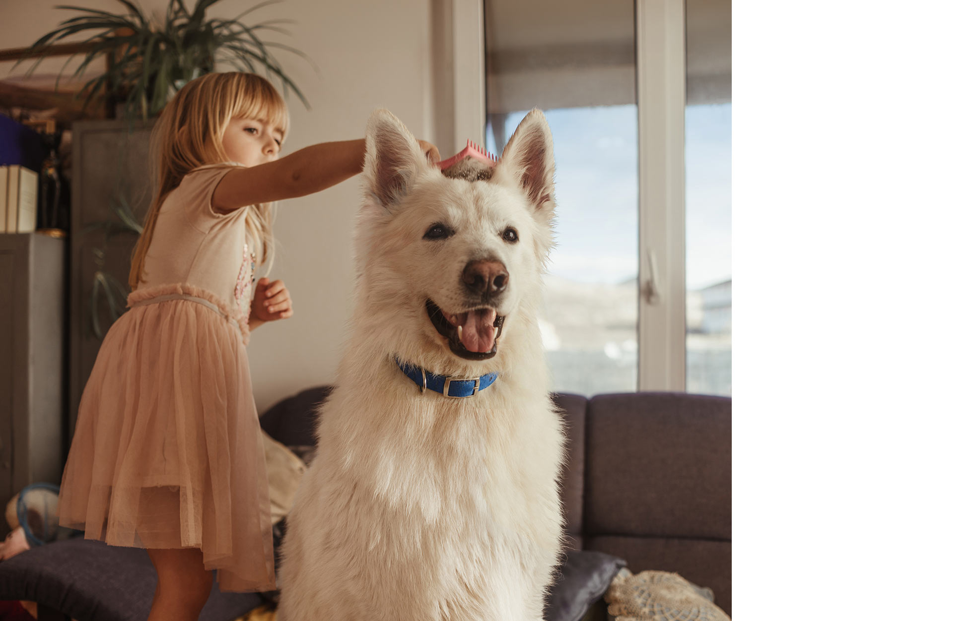 girl and dog playing 