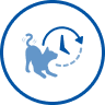 Cat and Clock Icon