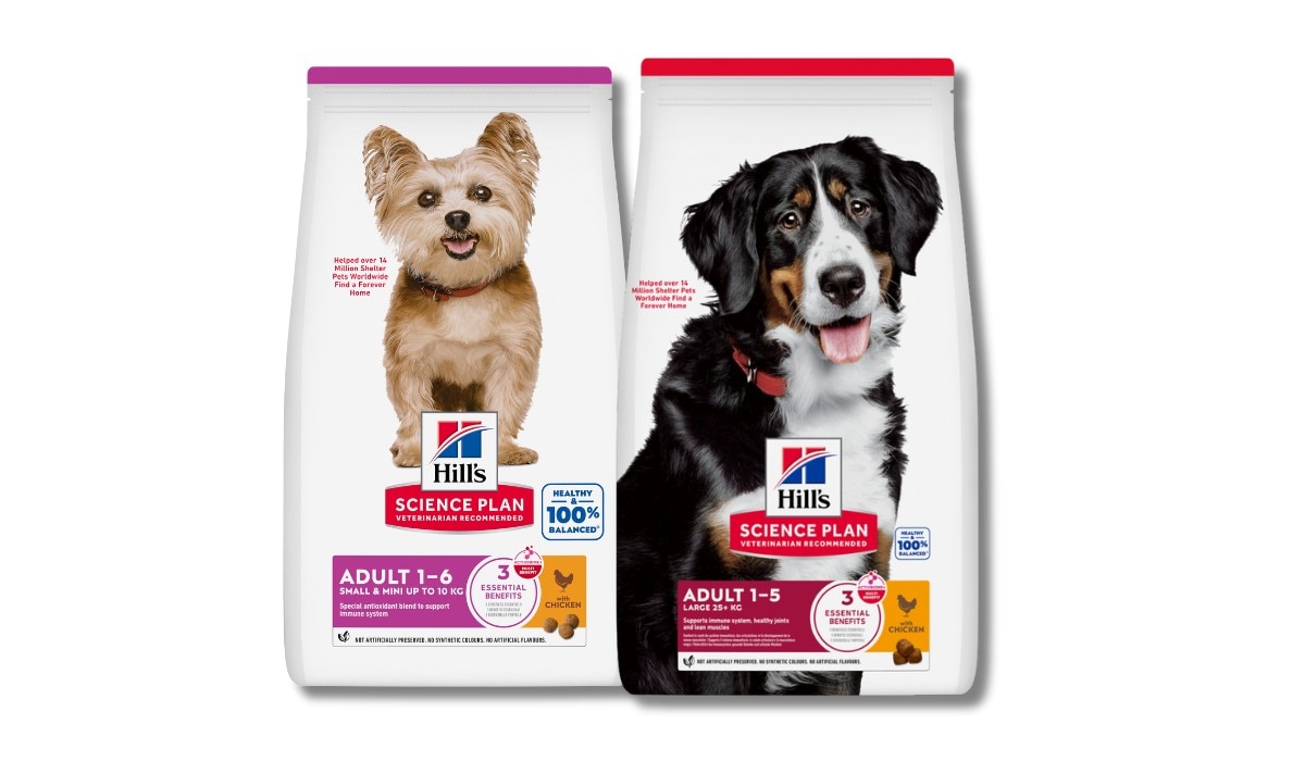 Science Diet for small and large breed