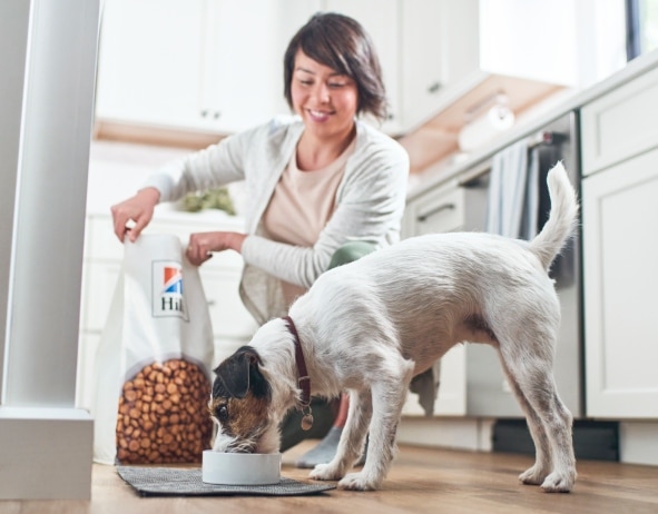 Dog eating Hill's Pet dog food