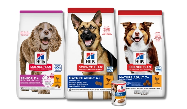Hill's Science Plan Food Range for different size breeds