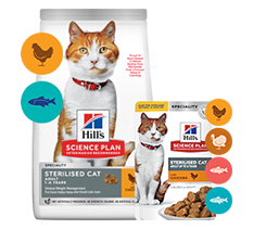 For young adult sterilised Science Plan cat food pack