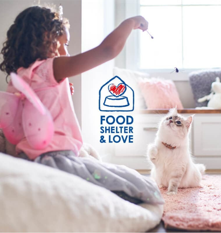 Girl playing with her cat