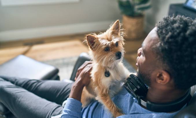 A puppy with his pet parent
