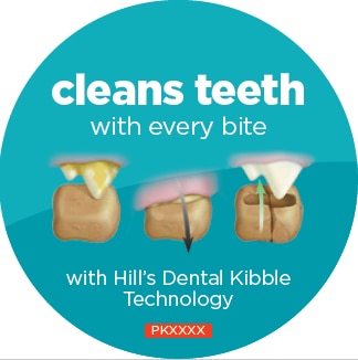 Dental Kibble Technology