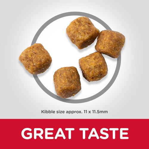 sp-canine-science-plan-mature-adult-7-plus-active-longevity-medium-lamb-and-rice-dry